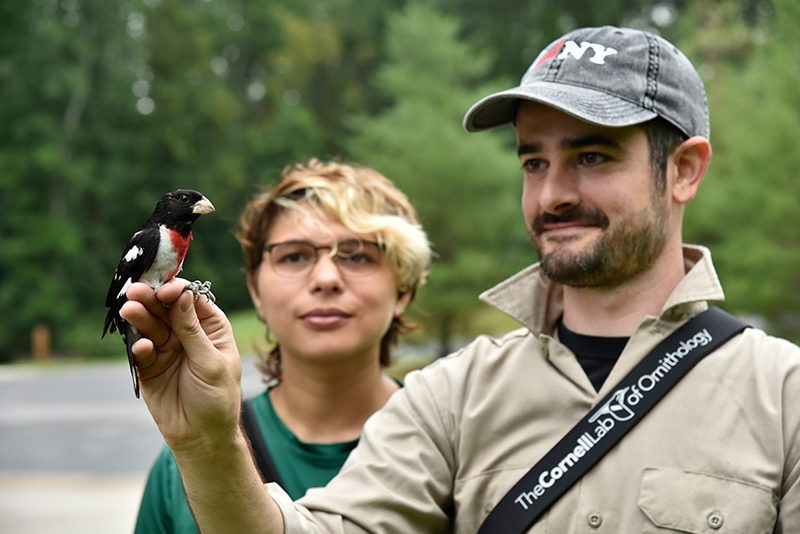 Daniel Baldassare, an assistant professor of biological sciences, and three students are actively conducting ornithological research with the birds, mainly cardinals, of Rice Creek Field Station this summer. Shyla Luna, pictured here with Baldassare on July 7, is studying nests and hatchlings.