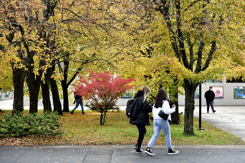 Students walk near the wooded area between Tyler and Mahar halls Nov. 4 when vivid fall colors were on full display.