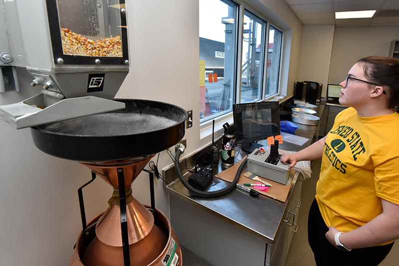 SUNY Oswego intern and lab employee Lindsay Fluman checks samples of agricultural product imported into the new grain lab, an ongoing partnership between the Port of Oswego Authority and SUNY Oswego.