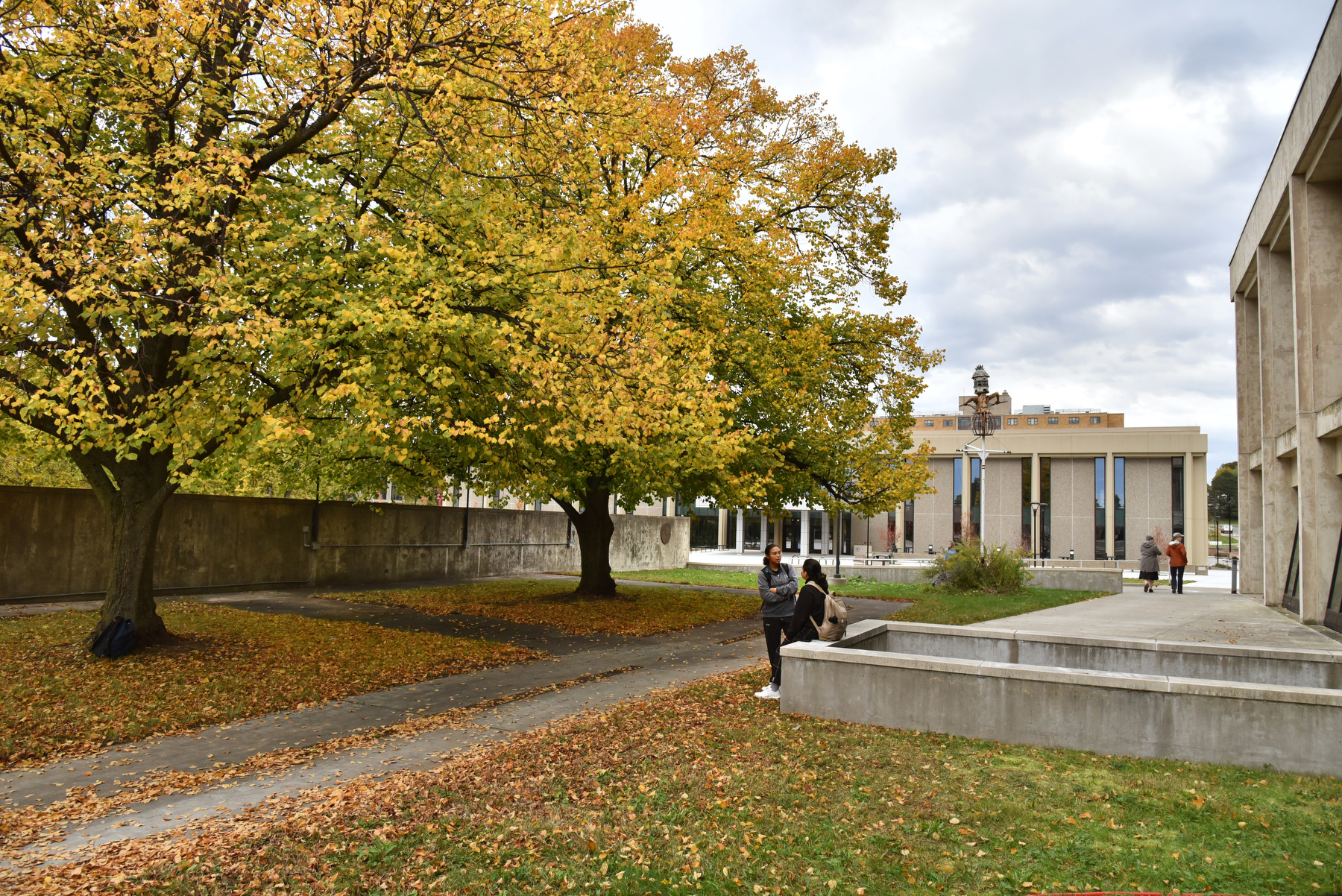 Fall season brings vivid colors to the trees around campus, including this October scene outside of Tyler and Hewitt halls.