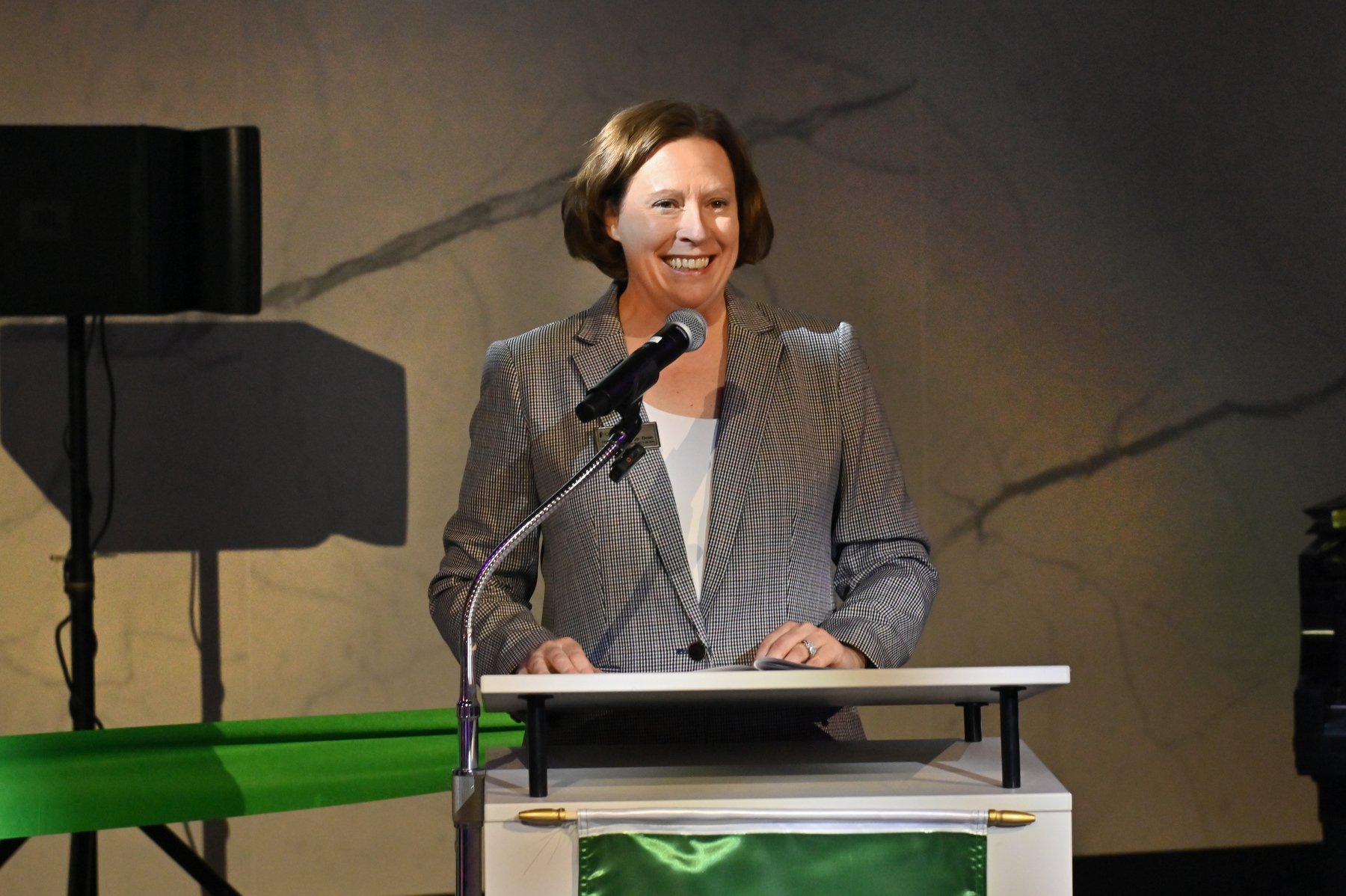 Jennifer Knapp, dean for the College of Communication, Media and the Arts, shares her enthusiasm with the audience while speaking during the Hewitt Hall re-opening ceremonies held Oct. 24.