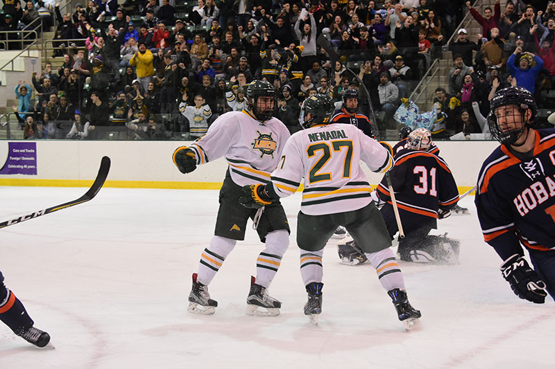 Laker hockey players begin to celebrate goal