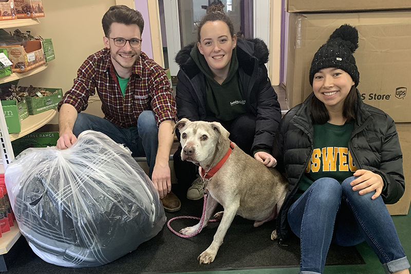 Sustainability Office interns donate blankets and pillows to Paws and Effect in Oswego