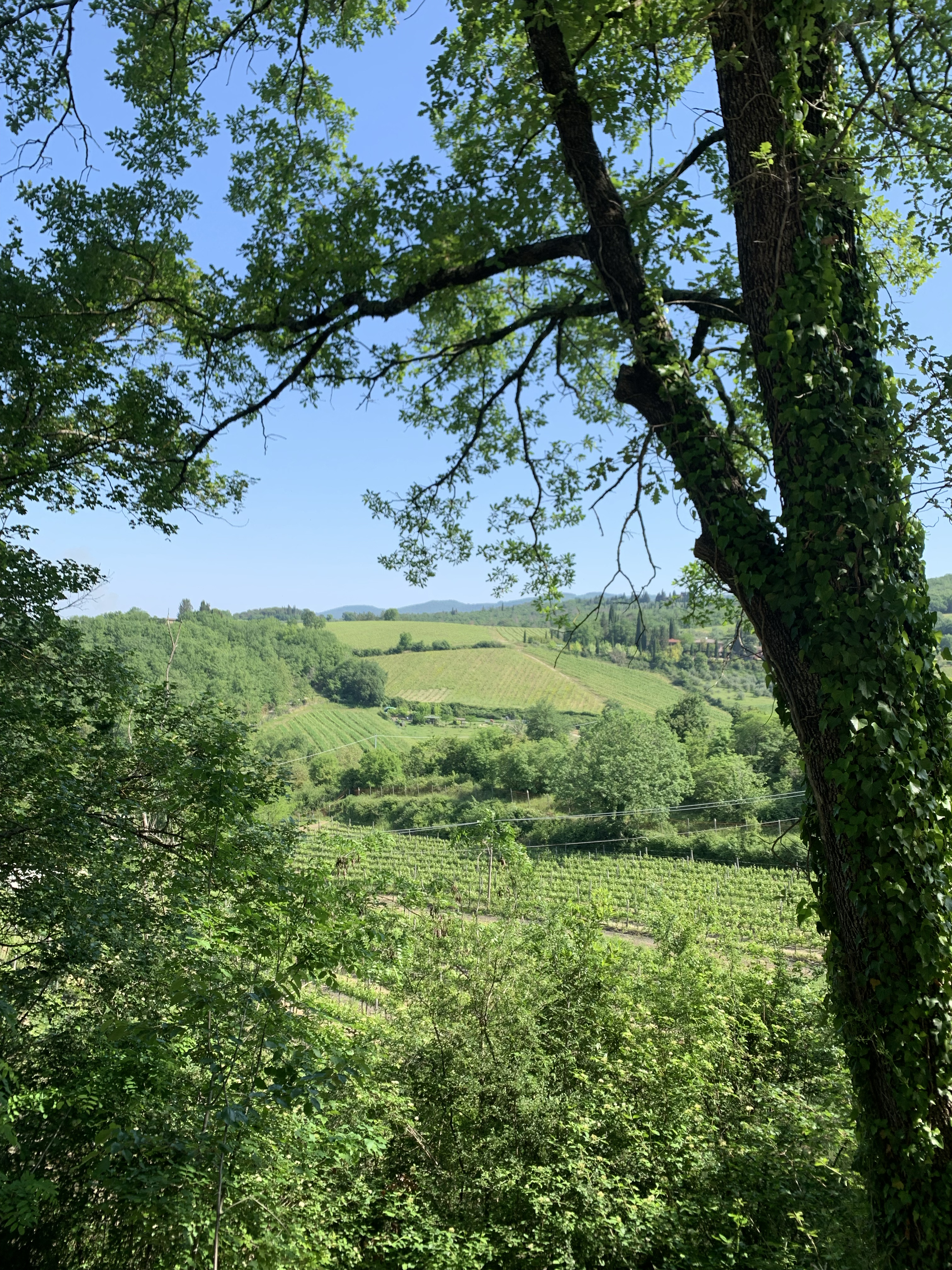 Students in Lindsay McCluskey's “Travel and Tourism” course traversed Italy to see stunning sights in addition to learning many angles about the tourism industry. 