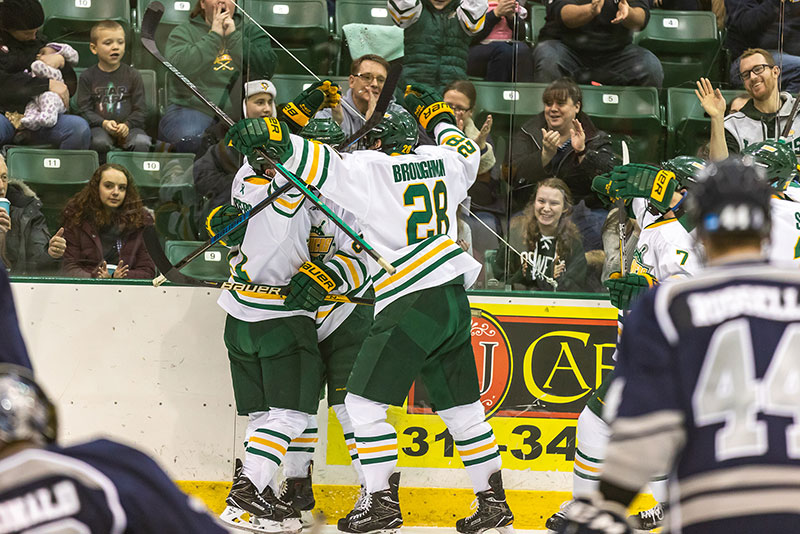 Men's hockey players celebrate goal