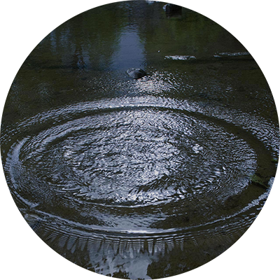 Ripple in a body of water