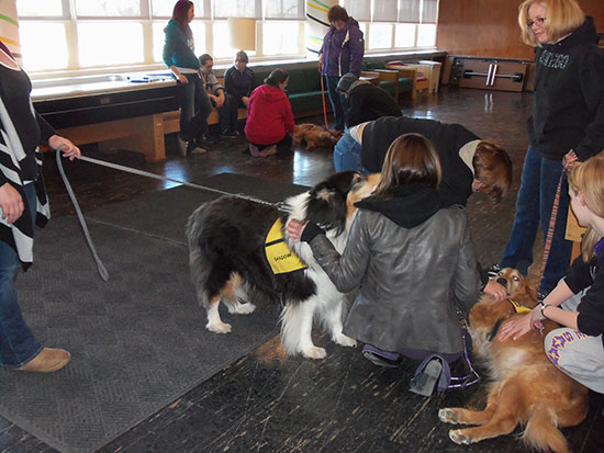 Therapy dogs visit Mackin main lounge.