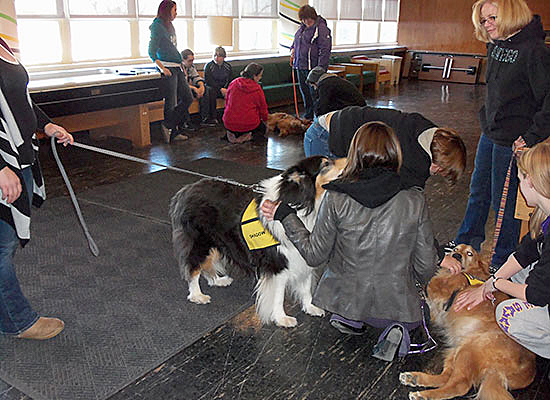 Mackin Complex and Sheldon Hall (MaSh) enjoy the therapy pets' visit.