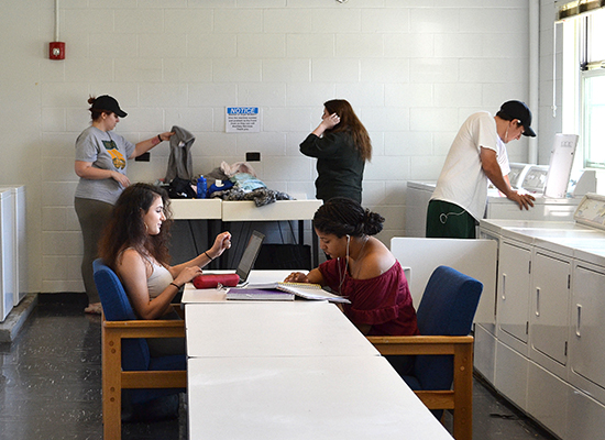 Cayuga Hall students doing their laundry while studying in our bright, sunny, and clean laundry room.