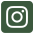 Instagram Icon linked to ResLife's Instagram account @reslifeoswego