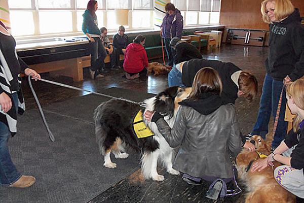 Mackin Complex and Sheldon Hall (MaSh) enjoy the therapy pets' visit.