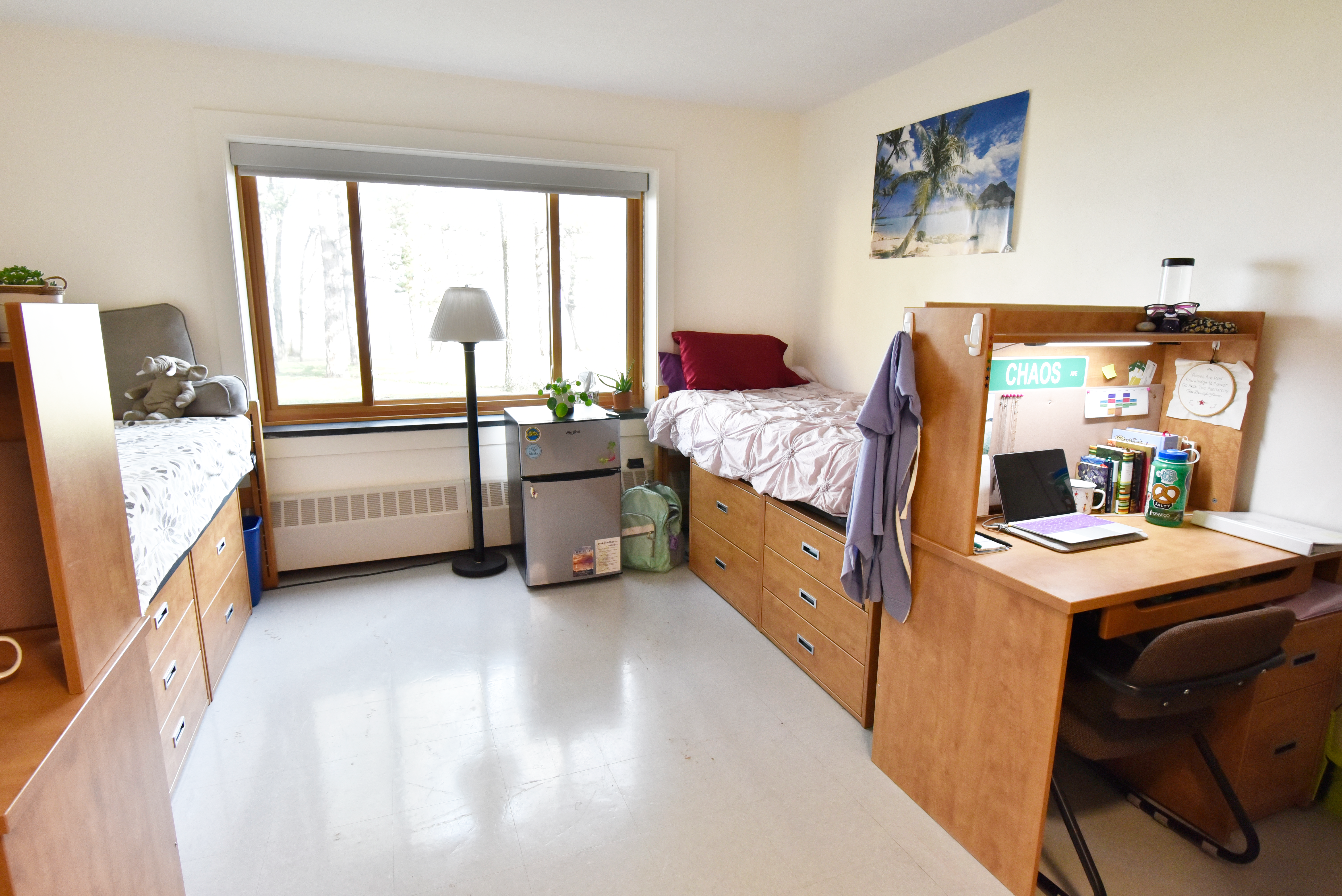A double standard room in Scales Hall, furnished with two sets of beds, dressers, desks, desk chairs, and closets on each side of the room