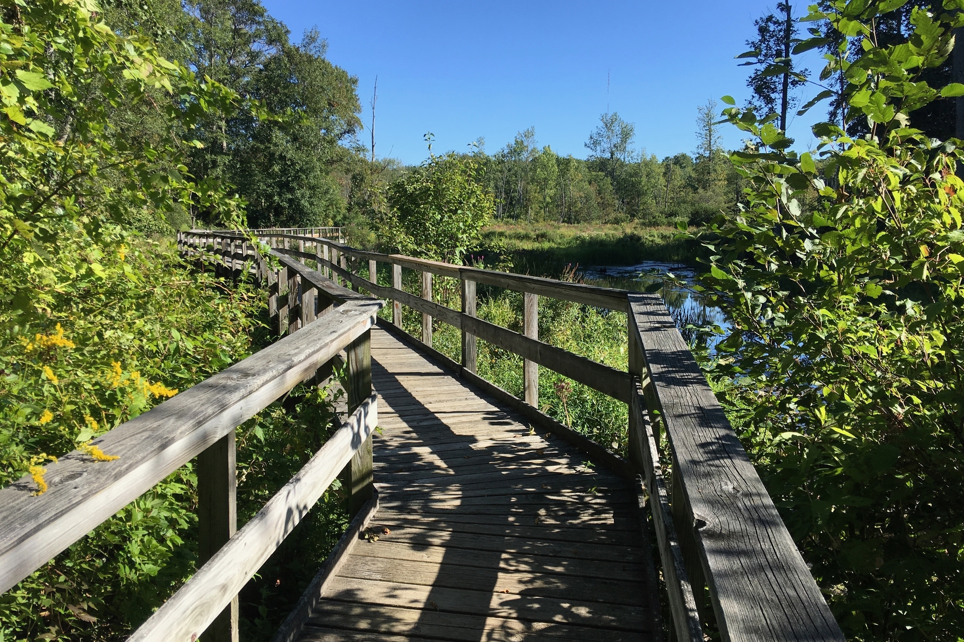 Green Trail boardwalk Green Trail boardwalk