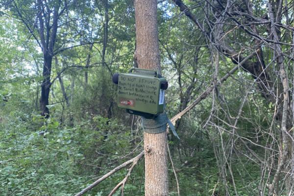 Sound recorder attached to tree Green sound recorder attached to tree