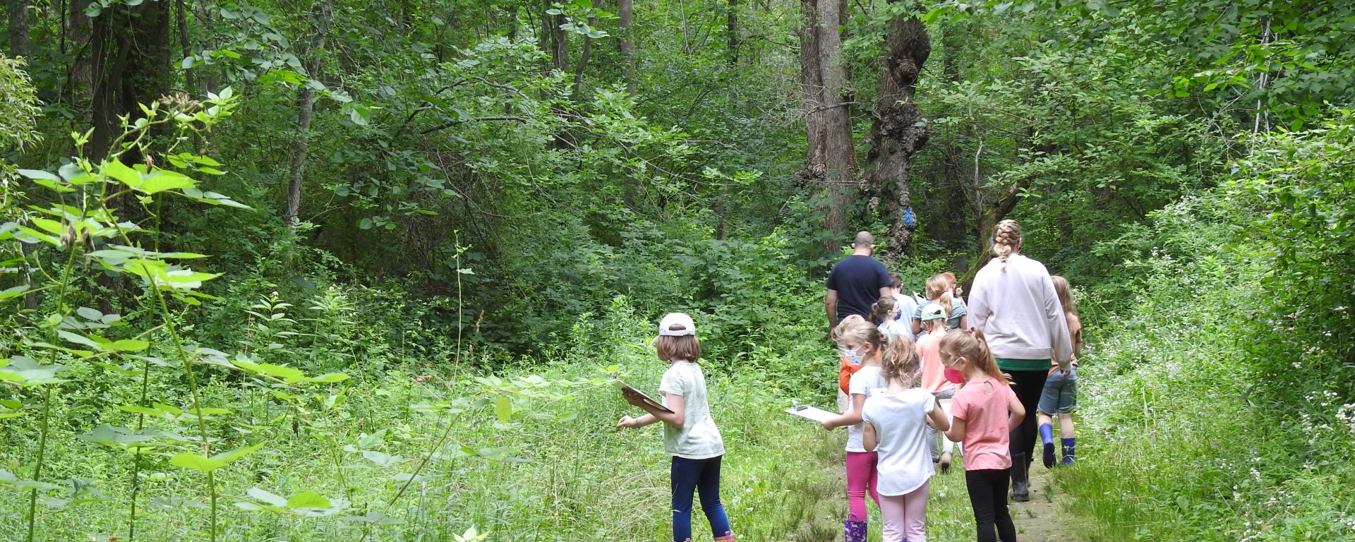 children on a forest trail