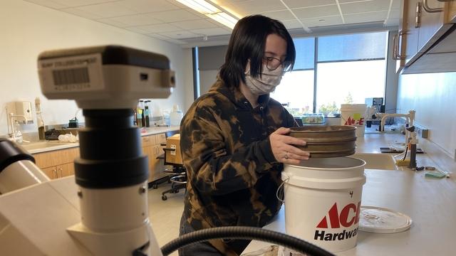 Kathryn in the laboratory with a sieve and sediments