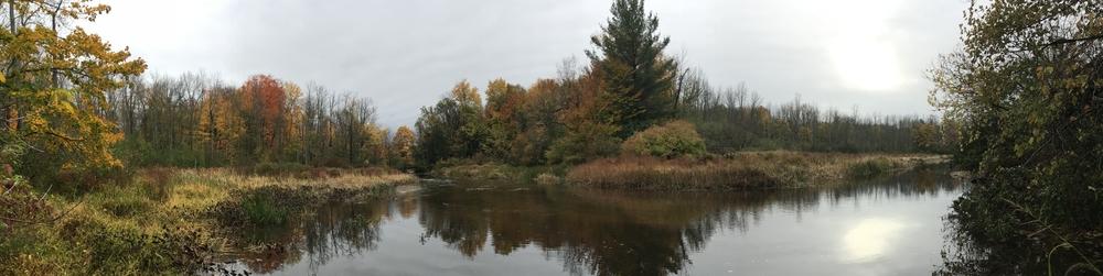 Rice Creek in fall, with creek in foreground and colorful shrubs and trees in back