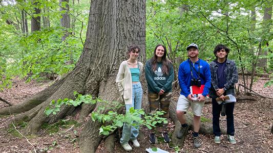 Four people standing by a large tree trunk