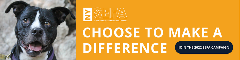 SEFA 2022 State Employees Federated Appeal: Choose to make a difference. Shows an image of a dog.