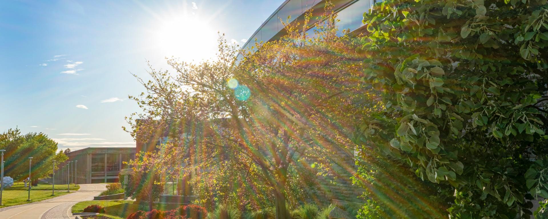 SUNY Oswego Upstate New York's Premier Public School