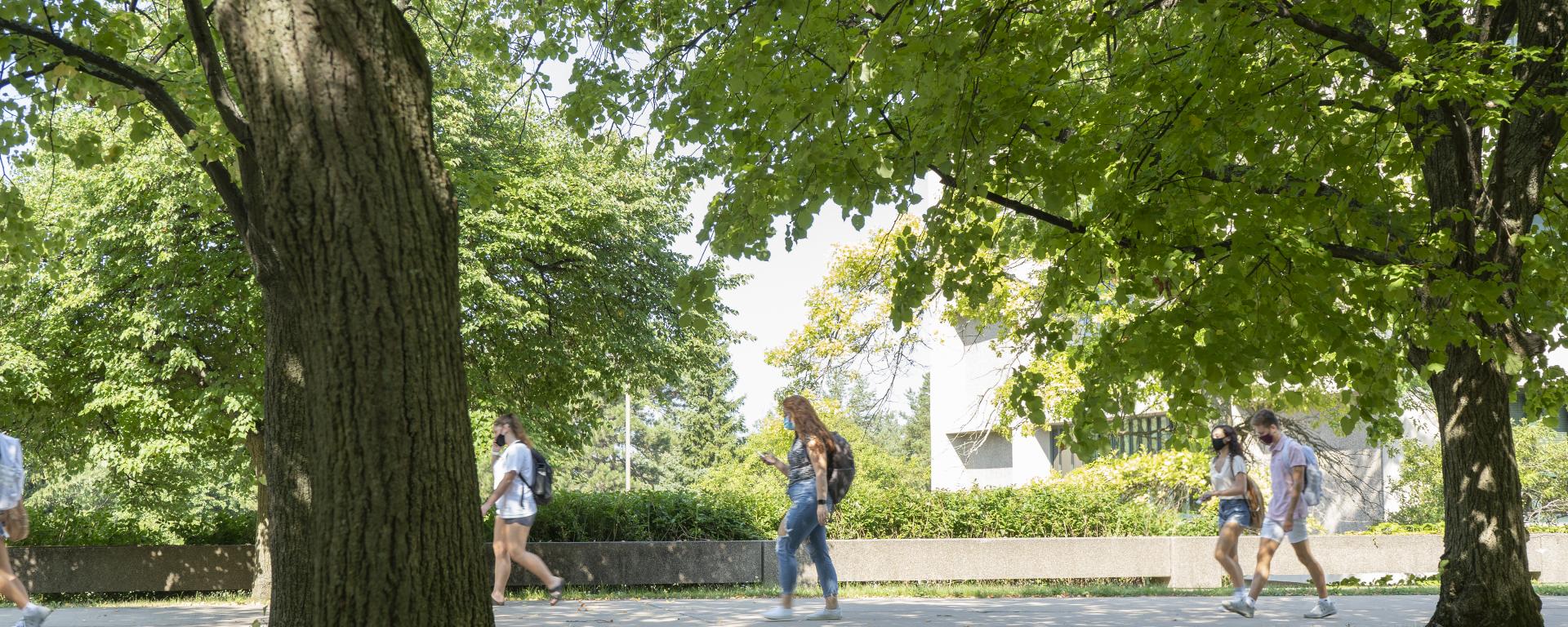 Proactive pause suny oswego