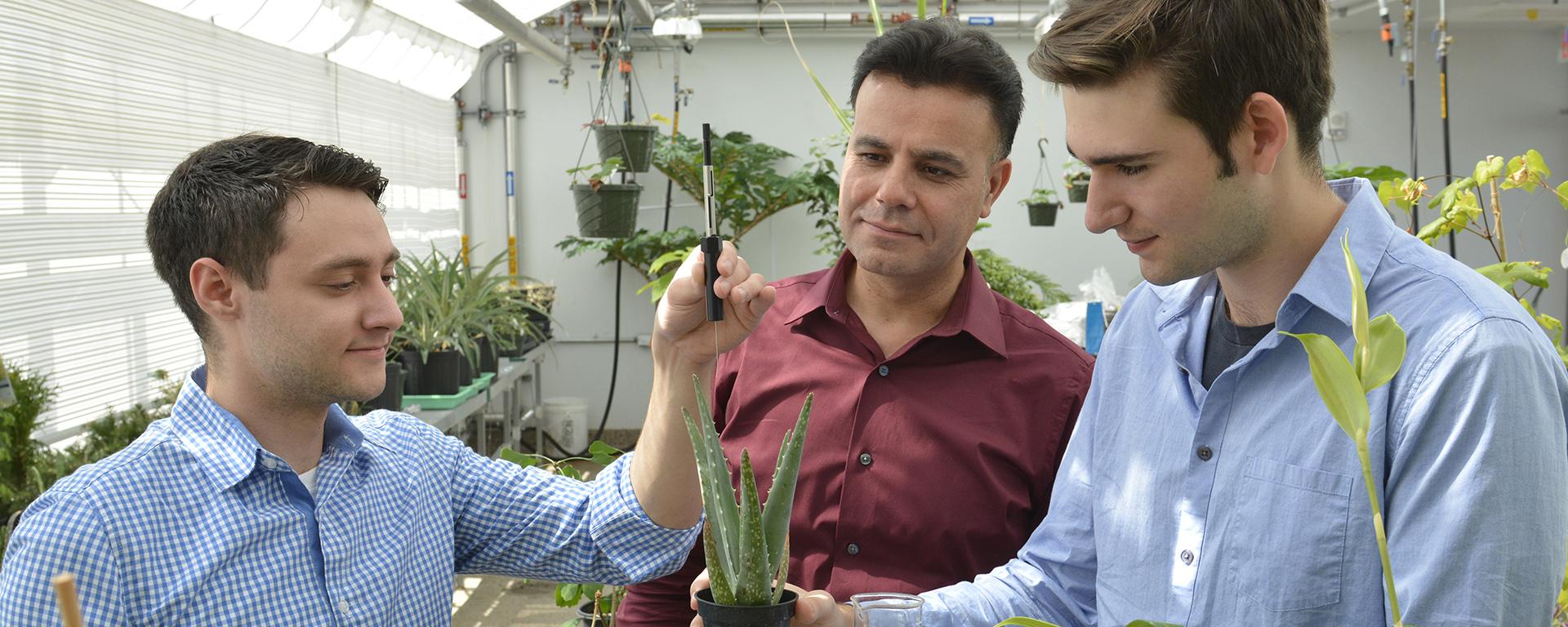 Vadoud Niri and research students analyze plants