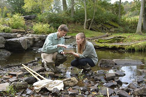 Professor and students analyzing water samples at Rice Creek