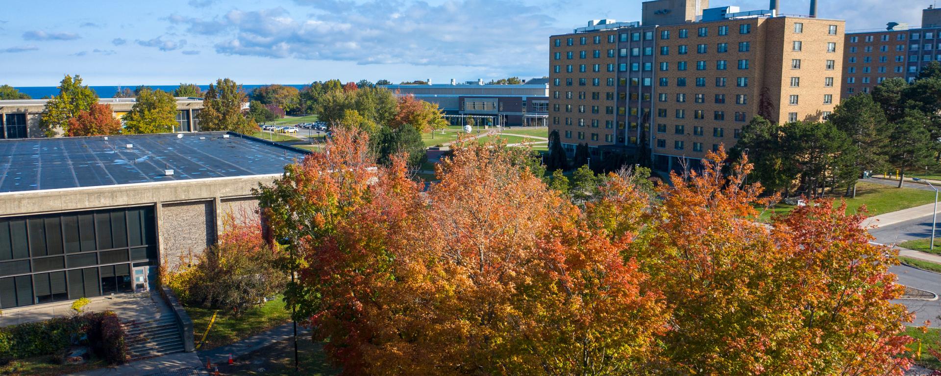 Aerial view of Hewitt and Funnelle halls