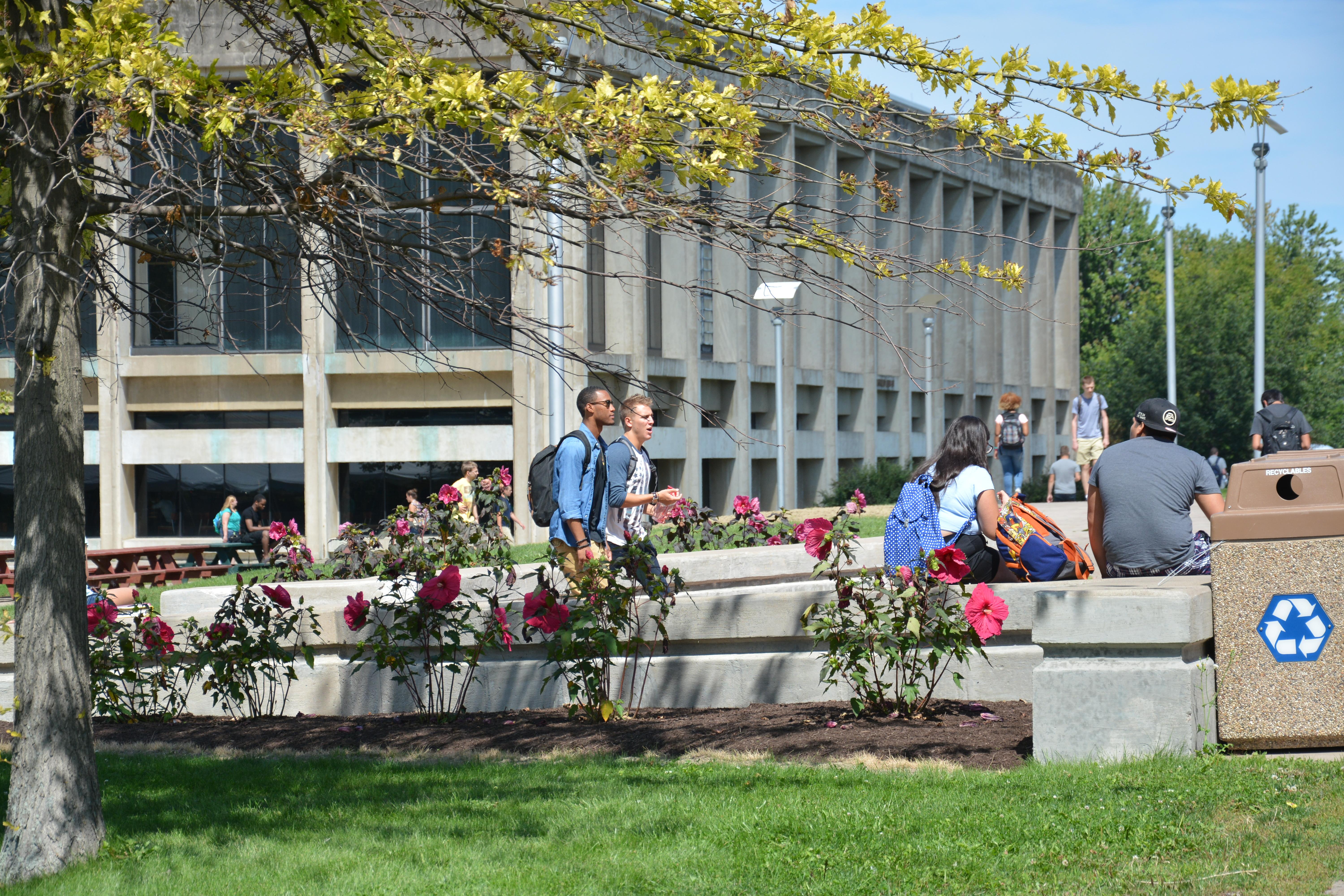 Students walking around on campus