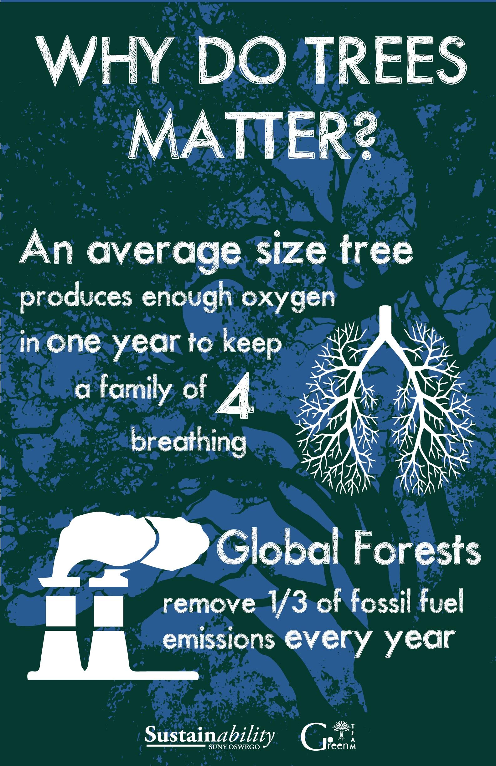 Why Do Trees Matter?: An average size tree produces enough oxygen in one year to keep a family of 4 breathing. Global forests remove 1/3 of fossil fuel emissions every year.